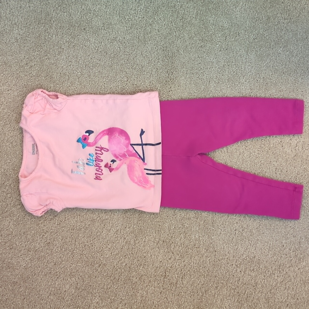 Gymboree Pink Flamingo Shirt And Matching Pants